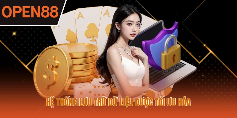 Hệ thống lưu trữ dữ liệu được tối ưu hóa