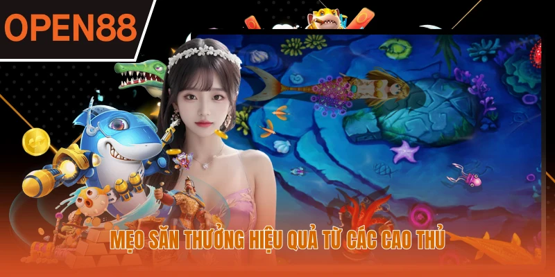 Mẹo săn thưởng hiệu quả từ các cao thủ