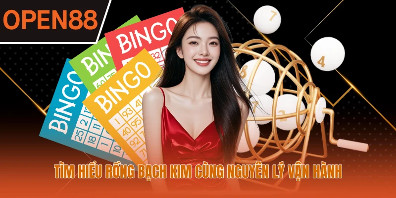 Tìm hiểu Rồng Bạch Kim cùng nguyên lý vận hành